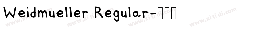 Weidmueller Regular字体转换